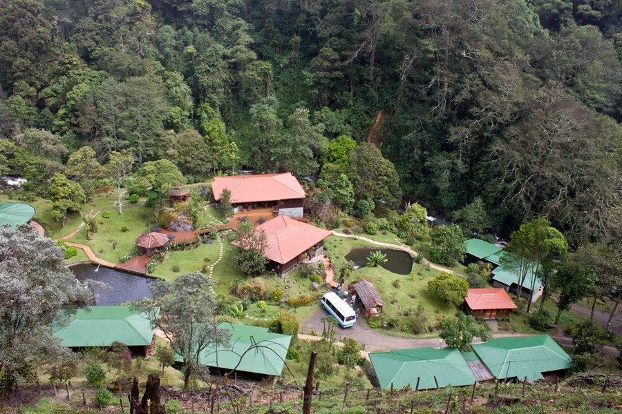 Trogon Lodge | Savegre Valley | Rainbow Tours