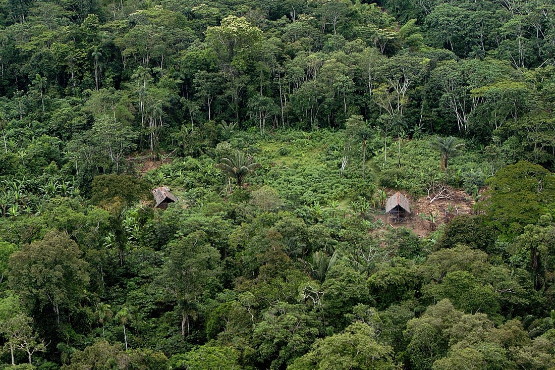 Huaorani Ecolodge | Ecuador Amazon Rainforest | Rainbow Tours