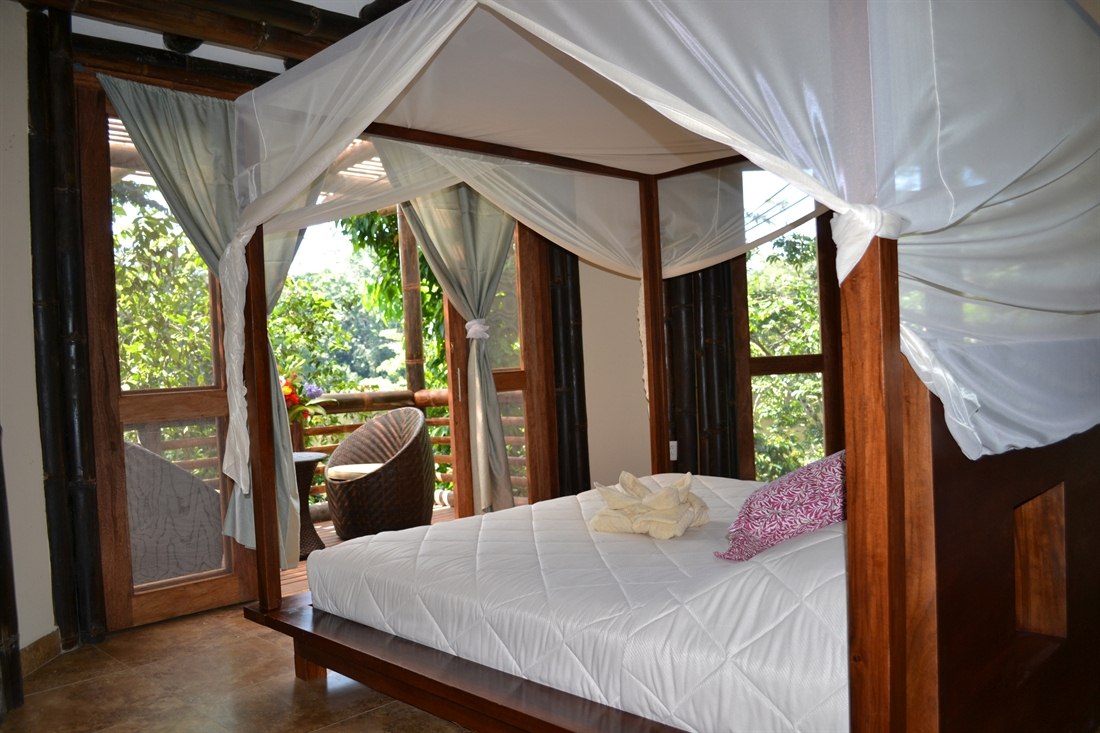 La Selva Lodge | Ecuador's Amazon Rainforest | Rainbow Tours