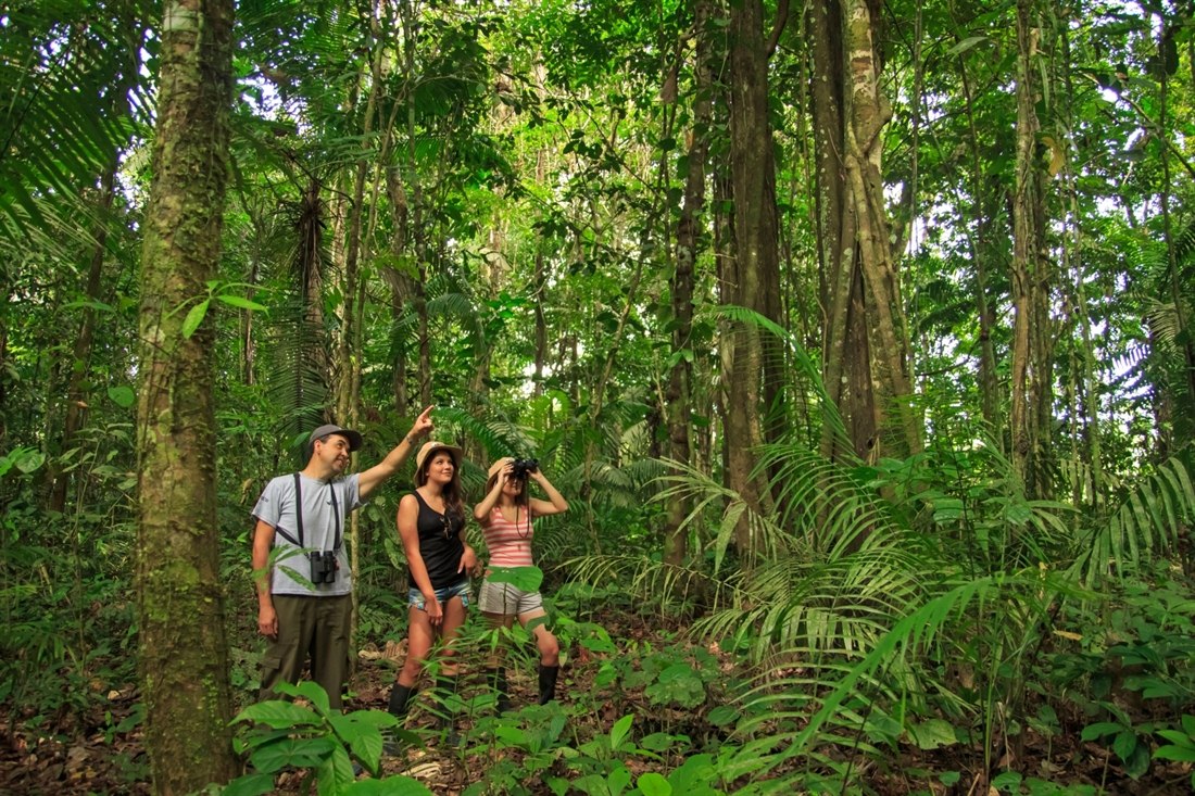 jungle explore tours