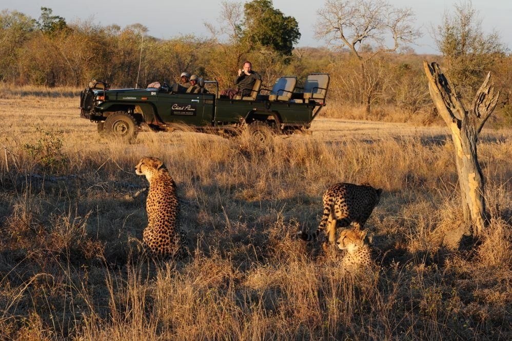 Cheetah Plains South Africa Chalets Rainbow Tours